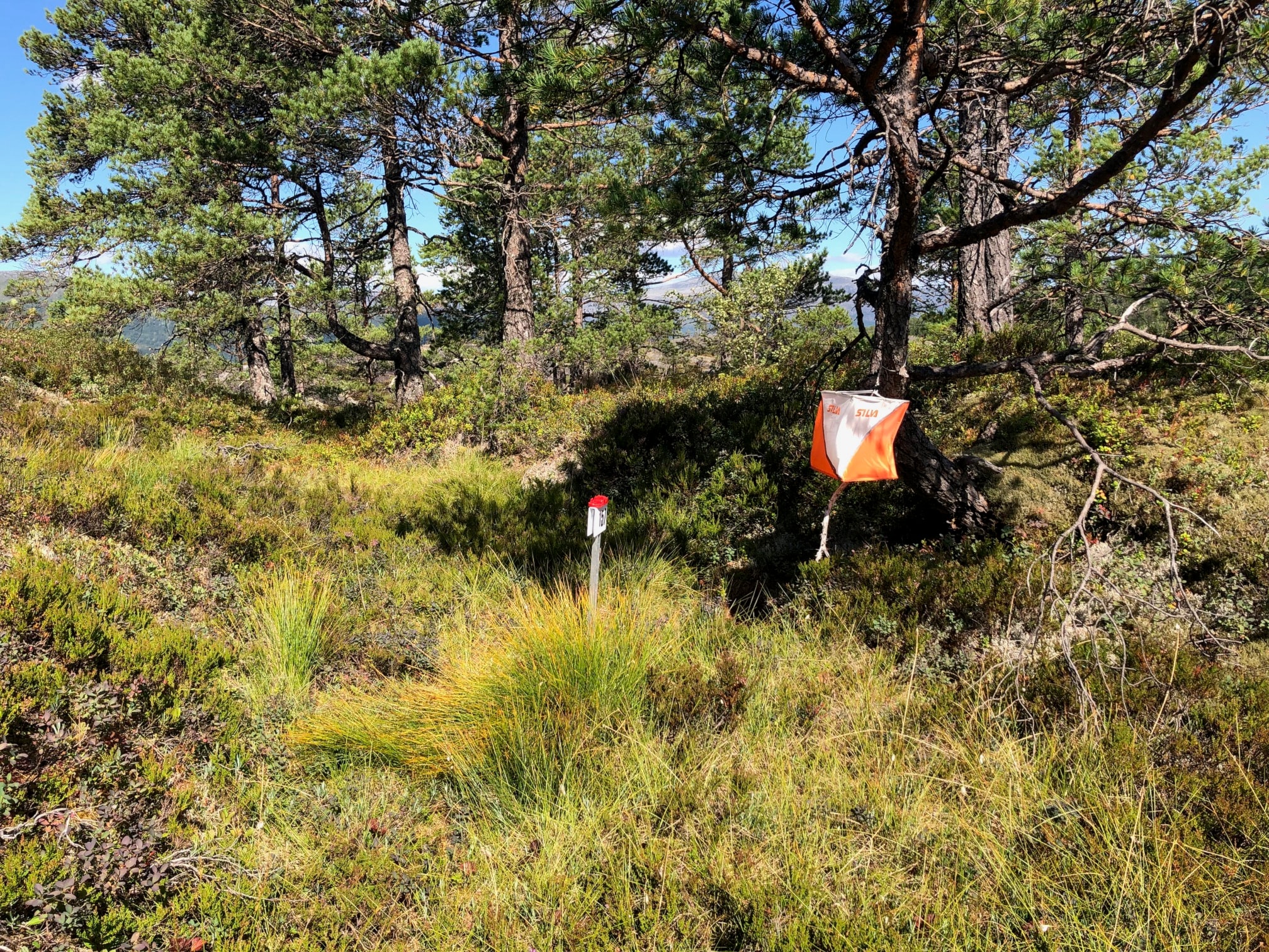 O-løp Værlandet 25.-27. april